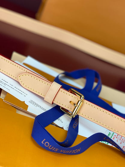 Lv bag