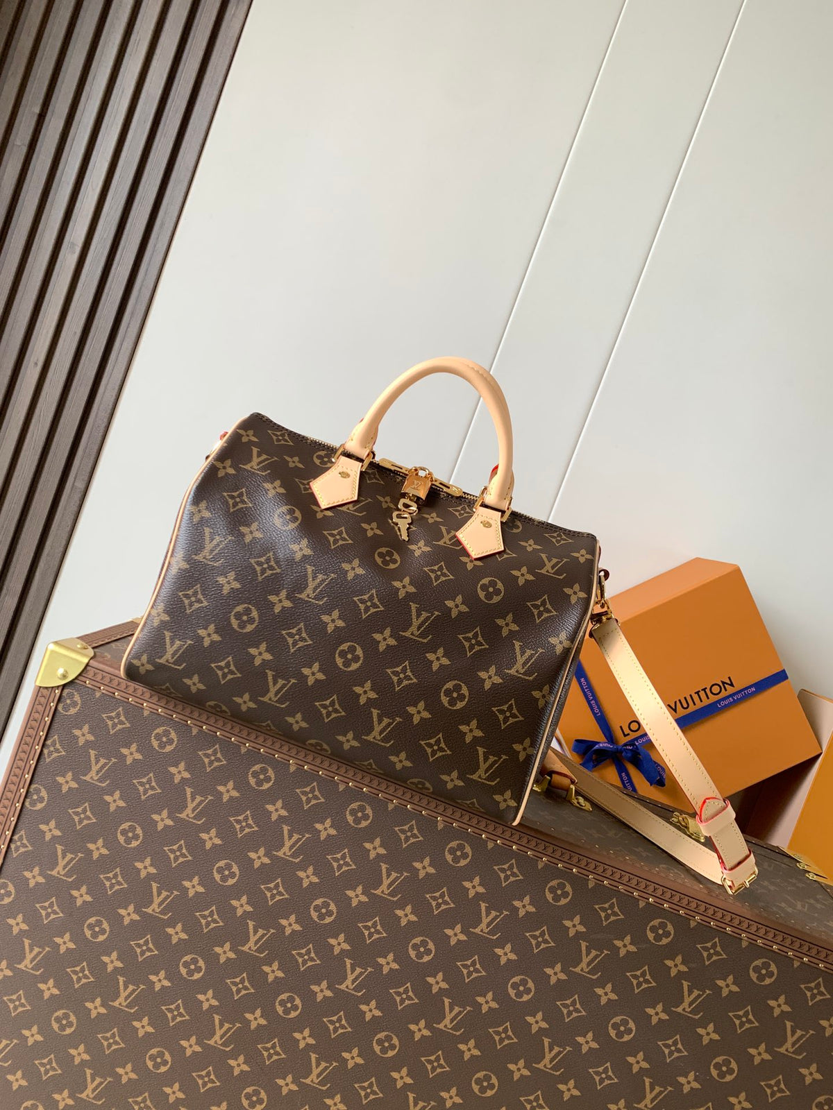 LV Speedy Bandoulière 30